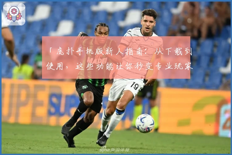 「虎扑手机版新人指南：从下载到使用，这些功能让你秒变专业玩家」