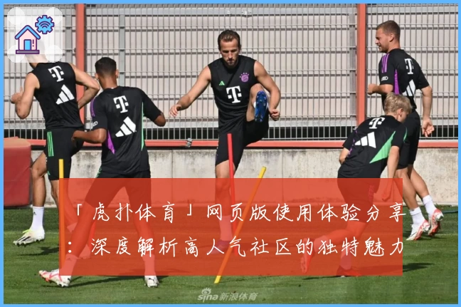 「虎扑体育」网页版使用体验分享：深度解析高人气社区的独特魅力